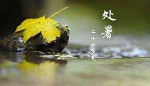 處暑節(jié)氣的特點(diǎn)是什么