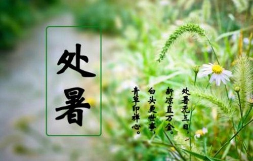 處暑節(jié)氣的含義是什么意思