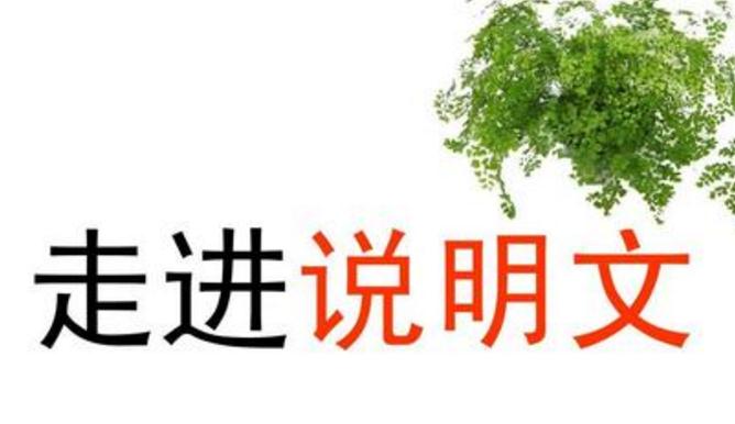說(shuō)明文閱讀知識(shí)點(diǎn)_說(shuō)明文閱讀答題技巧歸納