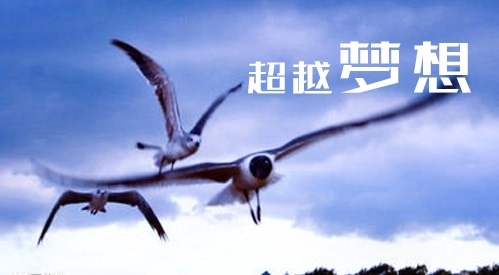 關(guān)于甜蜜的勵志言情小說