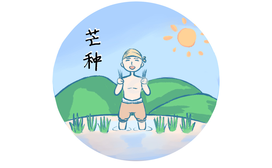 芒種的由來和傳說故事_芒種簡短來歷